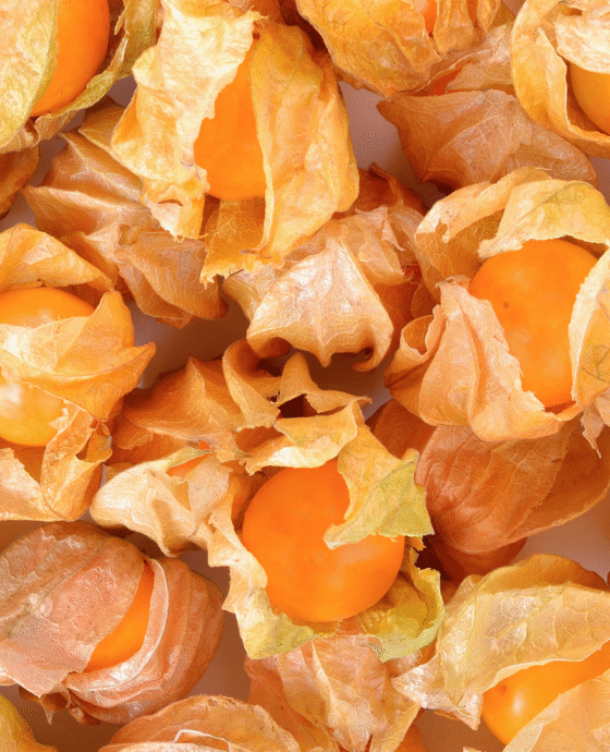Cape GooseBerry
